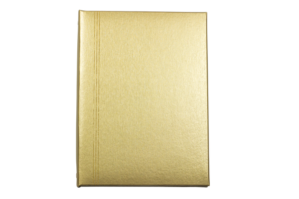 Brushed Gold Register Book