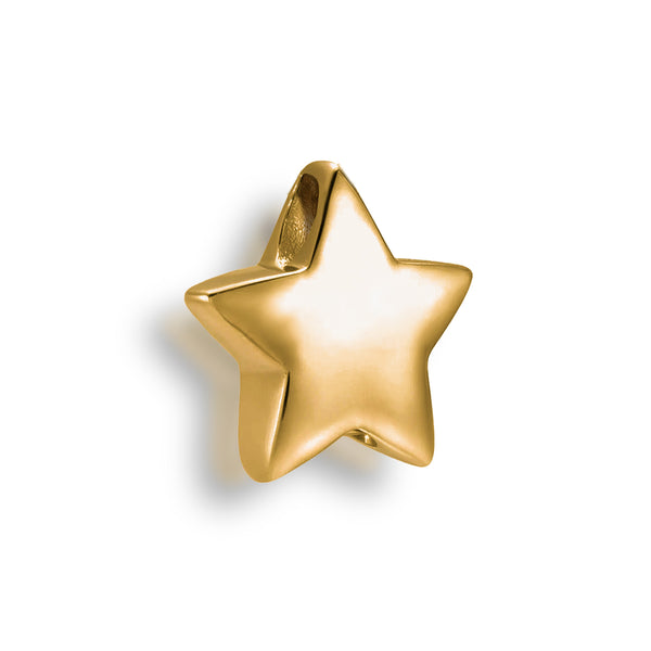 Star Charm