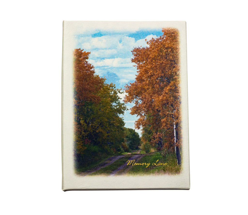 Autumn Road Printed Cover