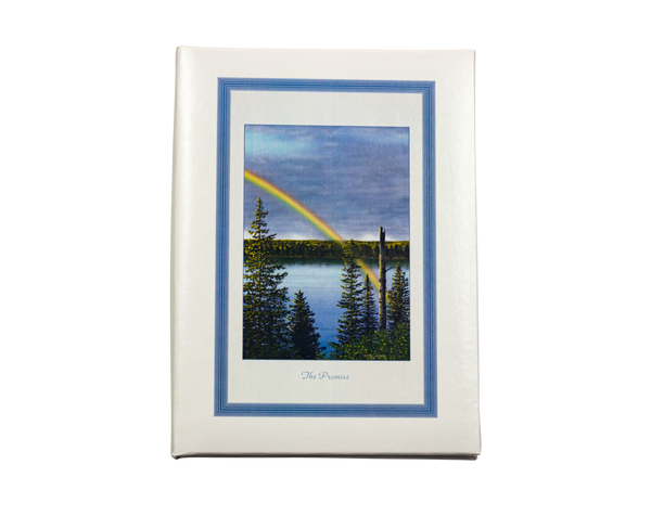 The Promise Printed Cover