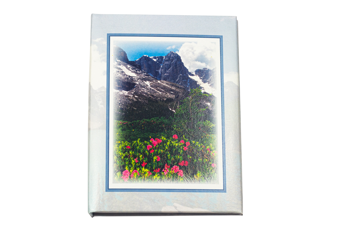 Rocky Mountain Framed