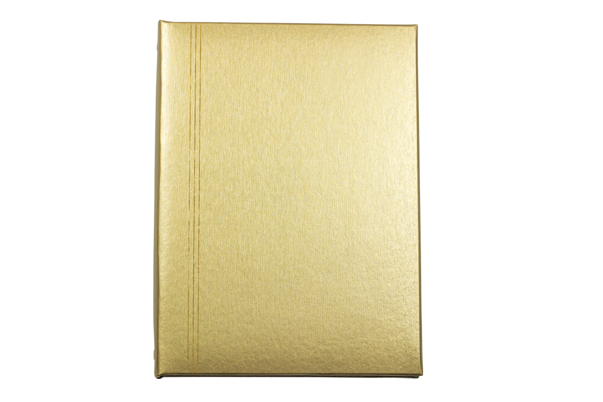 Brushed Gold Register Book